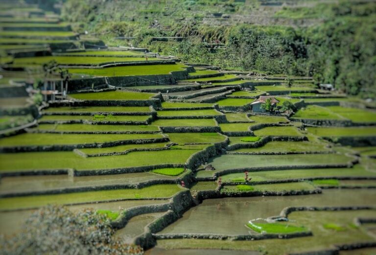 Asia